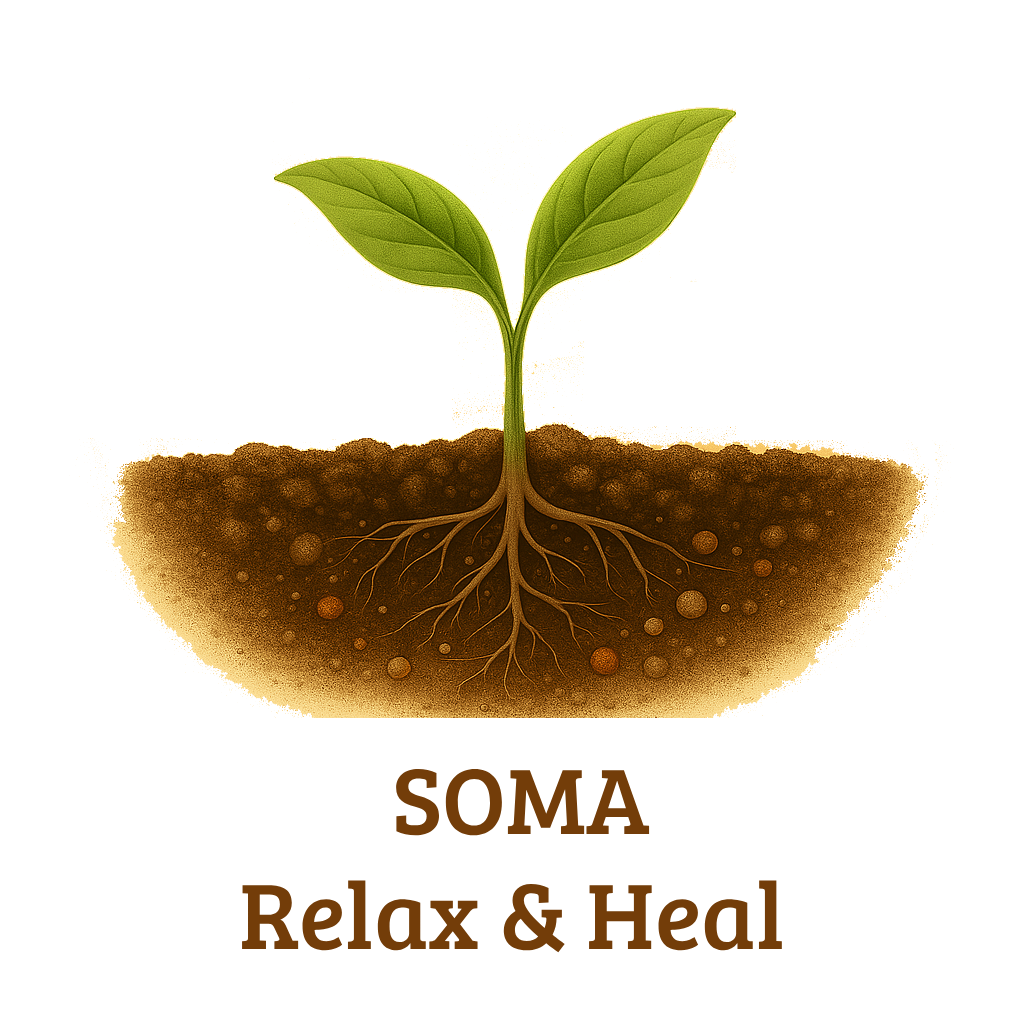 Fresh sprout symbolizing body healing and regeneration in Allgäu